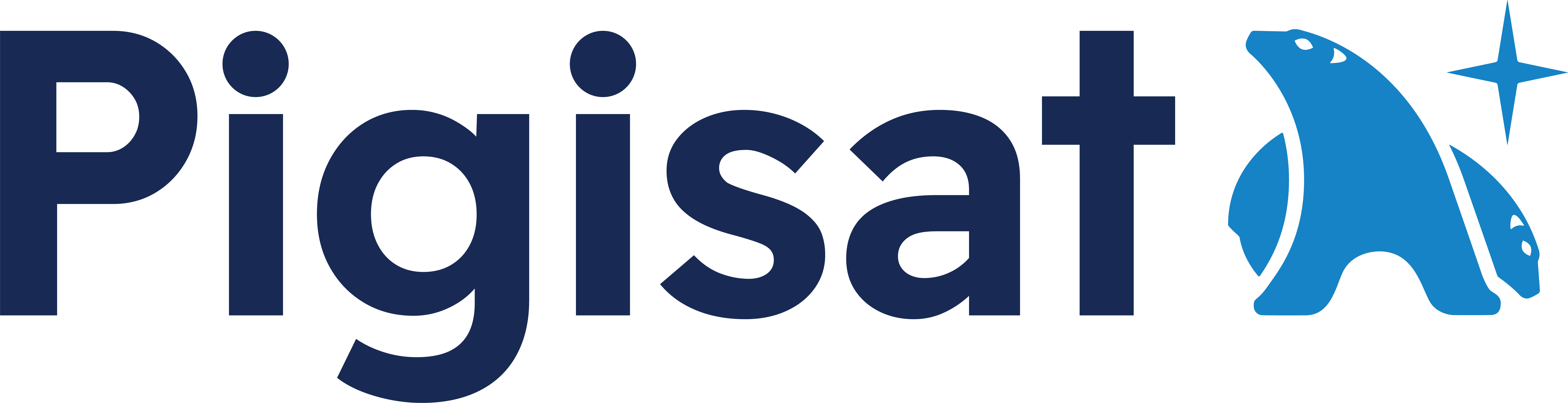 Pigisat